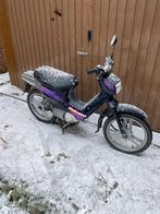 Honda wallaroo classe a 1999, Enlèvement, Classe A (25 km/h), 50 cm³