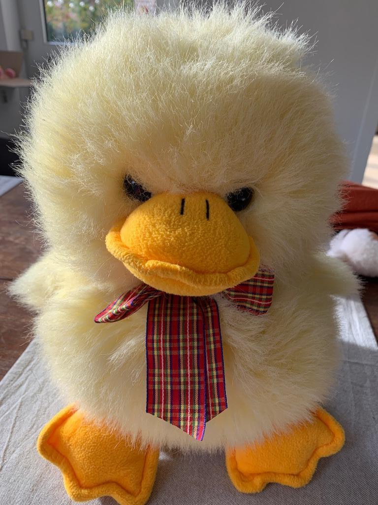 Knuffel eendje met opbergvak voor pyjama, Ophalen, Zo goed als nieuw, Eend