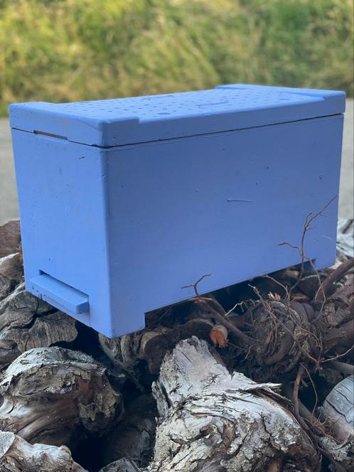 Zesramer Stehr voor DN maat, Dieren en Toebehoren, Insecten en Spinnen, Bijen