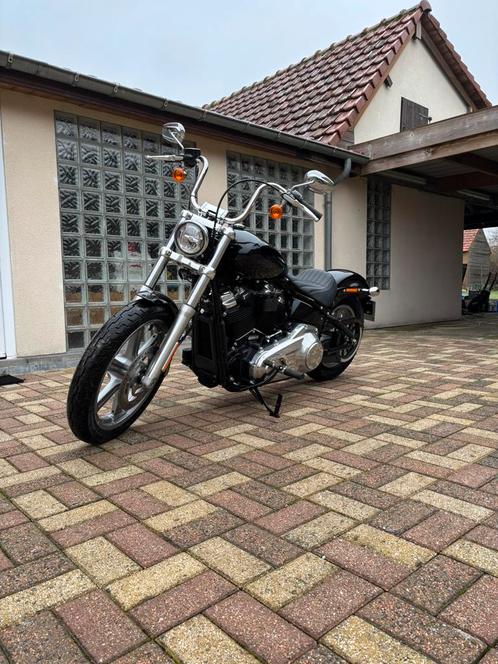 Harley davidson softail standard, Motoren, Motoren | Harley-Davidson, Particulier, Ophalen