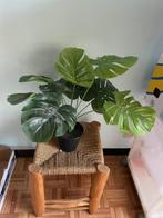 Kunstplant Monstera, Zo goed als nieuw, Ophalen