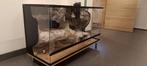 Terrarium 3D 100x40x50 (LxBxH), Dieren en Toebehoren
