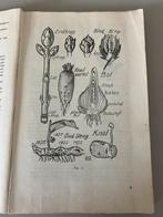 Oud leerboek PLANTKUNDE., Boeken, Ophalen of Verzenden
