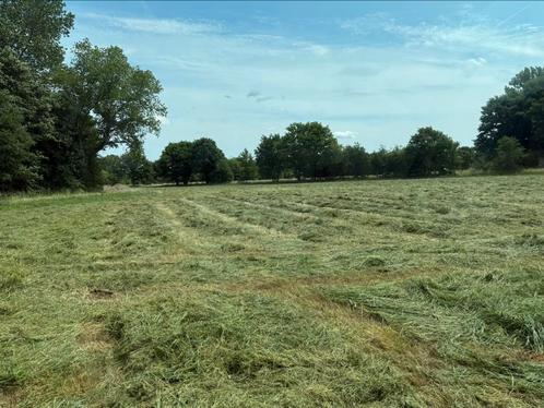 Grote pakken droog hooi 160*120*70 te koop, Dieren en Toebehoren, Dierenvoeding, Vee, Ophalen