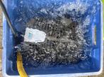 Oase aquamax eco premium 12000 pomp,, Ophalen of Verzenden, Zo goed als nieuw, Vijverpomp