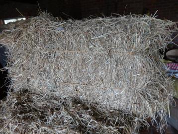 HOOI balen van  '24  ,14 kg beschikbaar voor biedingen