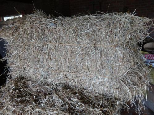 HOOI balen van  '24  ,14 kg, Dieren en Toebehoren, Dierenvoeding, Vee, Ophalen