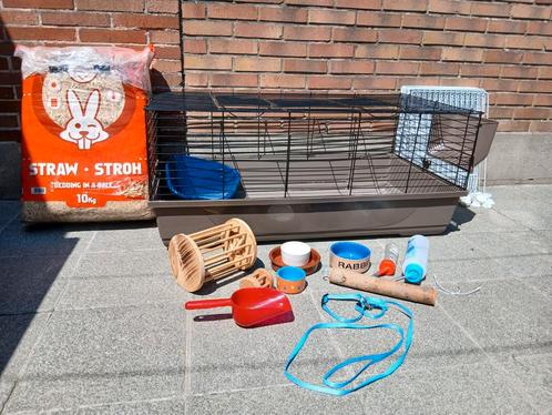 Konijnenkooi met toebehoren, Dieren en Toebehoren, Knaagdieren en Konijnen | Hokken en Kooien, Zo goed als nieuw, Kooi, Cavia