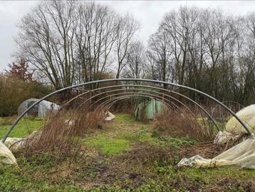 Kweekserre 6,5 m breed 2,5 m hoog beschikbaar voor biedingen