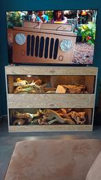 Osb terrarium RepHouSZ. Ook maatwerk, Animaux & Accessoires, Reptiles & Amphibiens | Accessoires, Terrarium ou Paludarium, Enlèvement ou Envoi