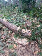 Bomen hout gezocht, Ophalen, Zo goed als nieuw