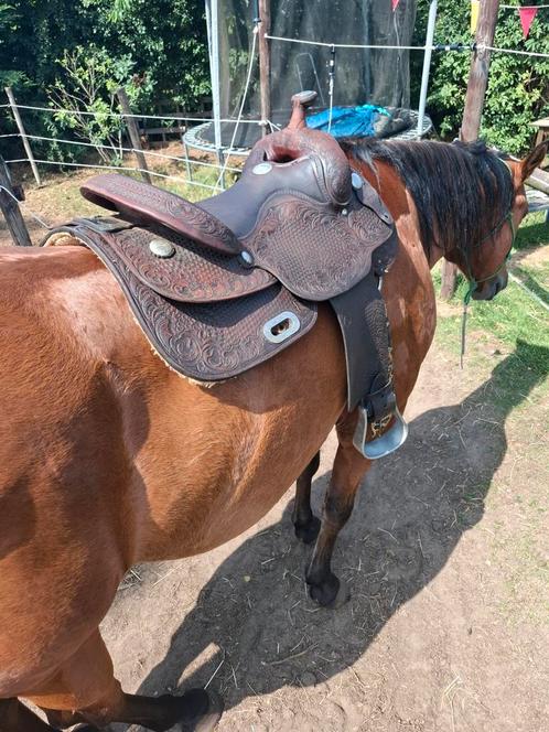 BILLY COOK,  PRO REINER, Dieren en Toebehoren, Paarden en Pony's | Zadels, Gebruikt, Western, Ophalen