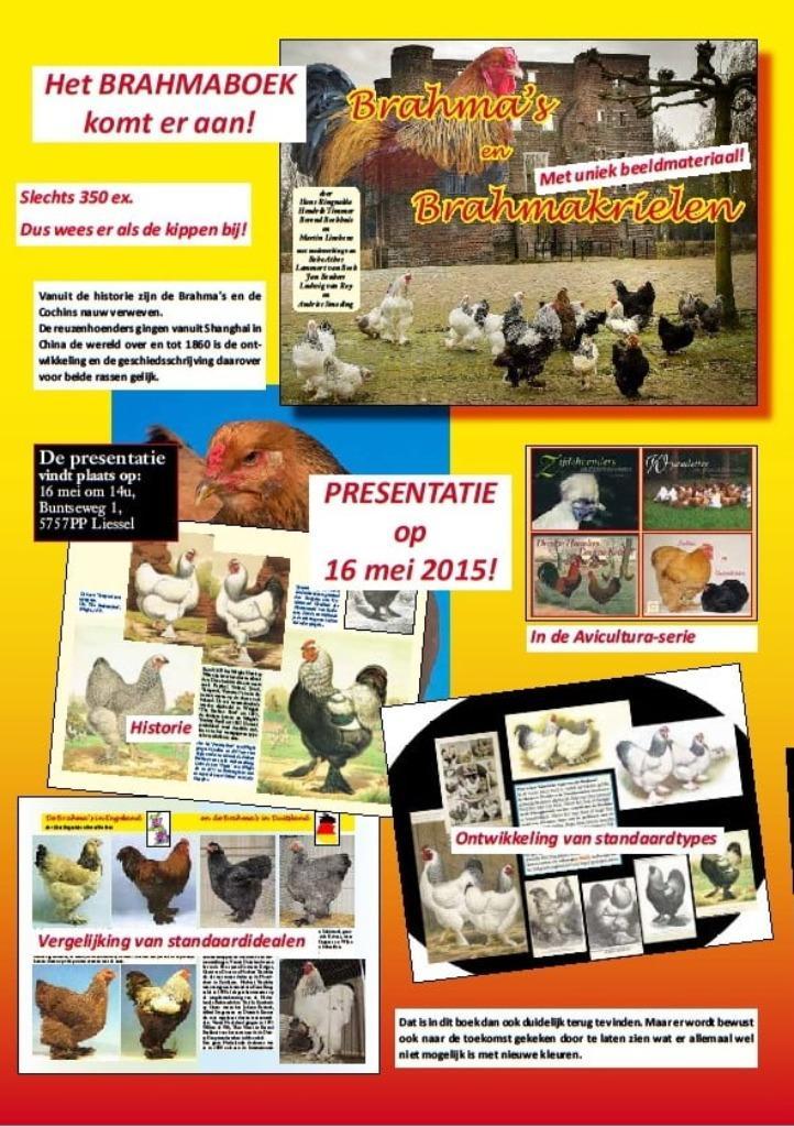 🐔📘 Hét Brahma-boek – nog steeds dé standaard!, Dieren en Toebehoren, Pluimvee | Toebehoren, Nieuw, Overige typen, Ophalen of Verzenden