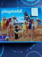 Egypte grafrovers met kamelen 4247, Ophalen