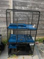 Kooi voor knaagdieren, Dieren en Toebehoren, Knaagdieren en Konijnen | Hokken en Kooien, Ophalen, Kooi, Gebruikt, Minder dan 75 cm