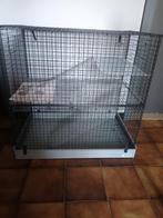 Cage pour furets, rats et chinchillas, 60 à 90 cm, Enlèvement, Cage, Rat