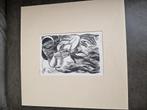 Gerard gaudaen, Antiek en Kunst, Kunst | Etsen en Gravures, Ophalen of Verzenden