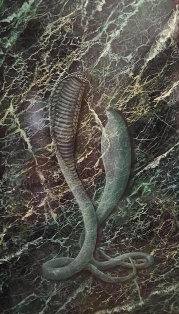Cobra 2 dieren decoratie, wandpaneel, marmerimitatie 1mx60cm beschikbaar voor biedingen