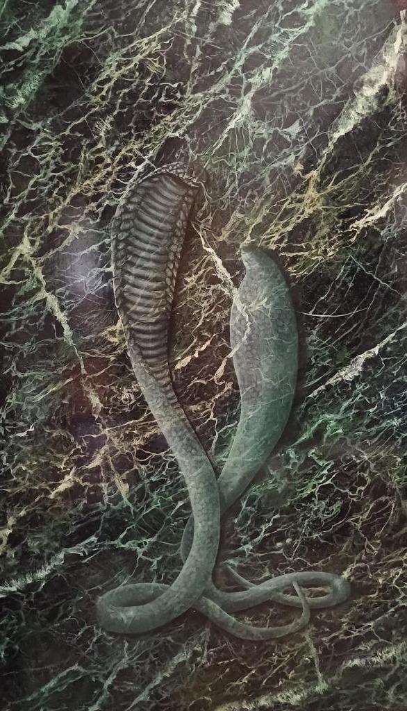 Cobra 2 dieren decoratie, wandpaneel, marmerimitatie 1mx60cm, Antiek en Kunst, Kunst | Schilderijen | Abstract, Ophalen