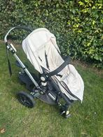 Caméléon Bugaboo, Enlèvement