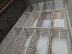 3 KWEEKBAKKEN TE KOOP 3 BAKKEN VOOR 50 EURO, Dieren en Toebehoren, Vogels | Duiven