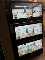 Vogeltoren op wielen met verlichtsmodule, Dieren en Toebehoren, Ophalen, Zo goed als nieuw