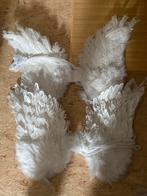 2 stuks engelenvleugels met echte pluimen, Gebruikt, Toneelattributen of Onderdelen, Ophalen