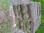 Gazon rouleaux 70m2, Jardin & Terrasse, Enlèvement, Neuf, 20 m² ou plus, Herbe