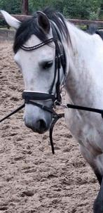 Hoofdstel met of bit apart te koop!, Enlèvement ou Envoi, Utilisé