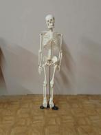 Oscar, le squelette, Antiek en Kunst, Ophalen
