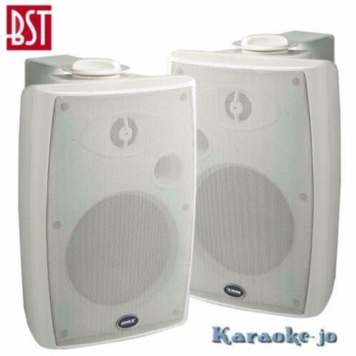 BST 370TW 100Volt Luidspreker set 2-weg 40 Watt, Audio, Tv en Foto, Luidsprekerboxen, Nieuw, Overige typen, Ophalen of Verzenden