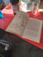 Vraagbaak british Leyland mini, Enlèvement ou Envoi