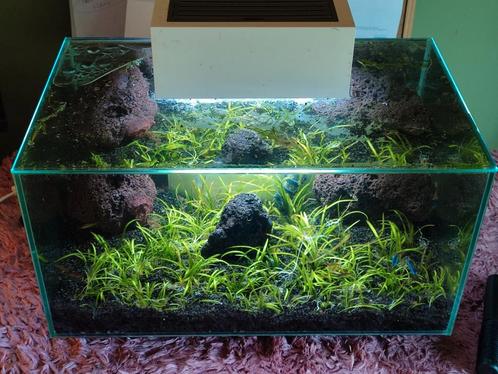 Nano design aquarium, Dieren en Toebehoren, Vissen | Aquaria en Toebehoren, Zo goed als nieuw, Ophalen