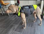 3in1 k9 zwemvest XL Nieuw, Ophalen, Nieuw