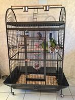 Cage perroquet ARA cage cacatoes cage amazone gris du gabon, Verzenden, Nieuw, Metaal, Volière
