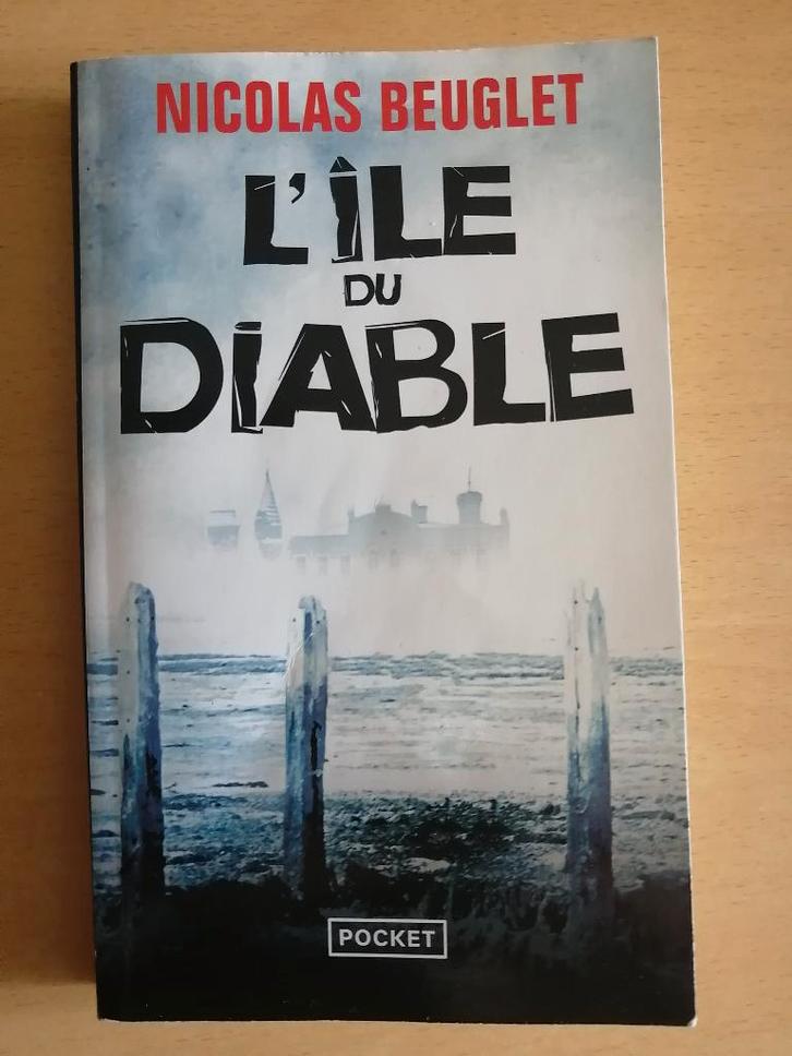 L'île du diable de Nicolas Beuglet, Livres, Thrillers, Enlèvement ou Envoi