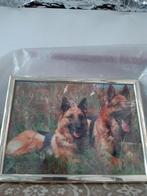 Foto kadertje,met afbeelding van honden., Ophalen of Verzenden, Gebruikt, Kunststof