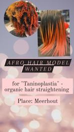 AFRO HAIR MODEL - Organic hair straightening, Bijoux, Sacs & Beauté, Enlèvement ou Envoi