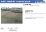 Ramsdonk: 2 PERCELEN LANDBOUWGROND - pachtvrij, Immo, Kapelle op den Bos, 1500 m² of meer