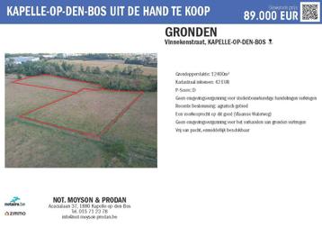 Ramsdonk: 2 PERCELEN LANDBOUWGROND - pachtvrij beschikbaar voor biedingen