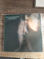 lp benjamin lew steven brown douzieme journee!, CD & DVD, Vinyles | Autres Vinyles, Enlèvement ou Envoi