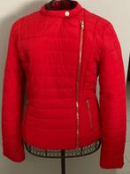 Nouveau Phildar magnifique manteau rouge profond 36, Taille 36 (S), Rouge, Enlèvement ou Envoi, Phildar