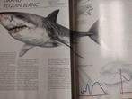 Grand livre "les requins", Ophalen, Zo goed als nieuw