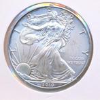 American eagle 1 ounce 2010, Ophalen of Verzenden, Zilver