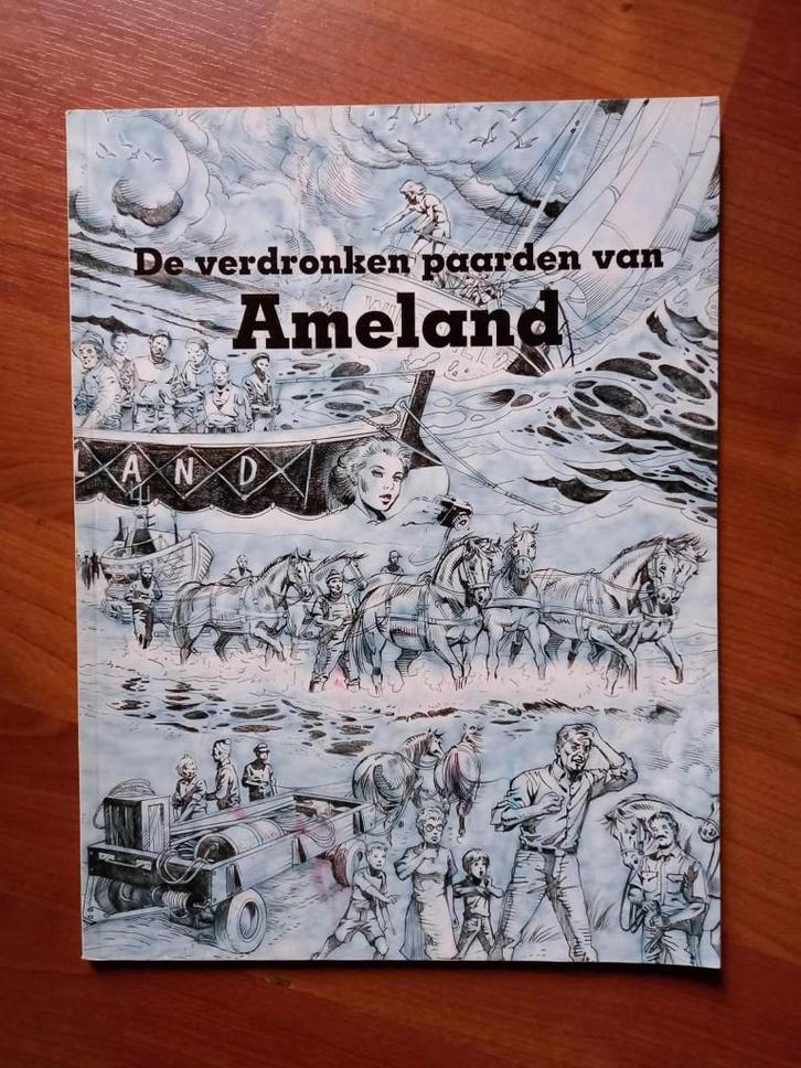 Strip - De verdronken paarden van Ameland (2011), Boeken, Stripverhalen, Zo goed als nieuw, Eén stripboek, Verzenden