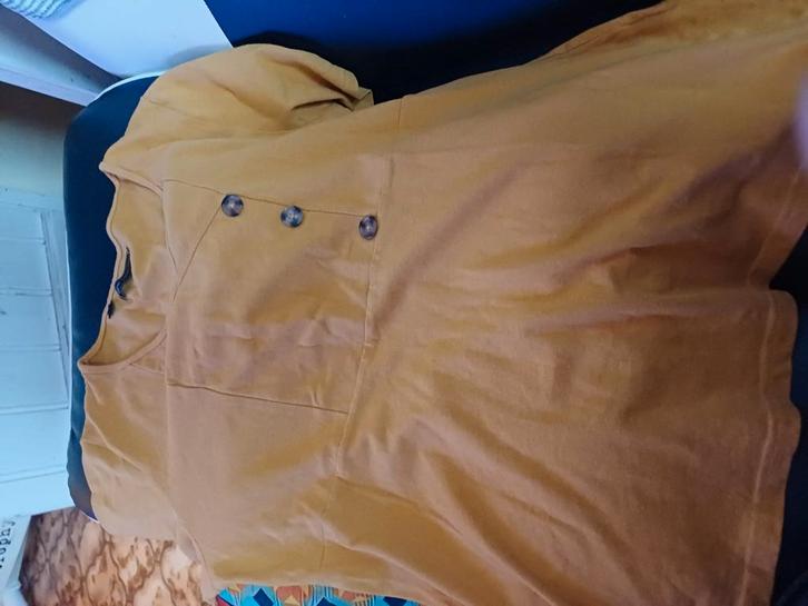 Lot de 5 belles blouses dame  xxl, Vêtements | Femmes, T-shirts, Porté, Enlèvement ou Envoi