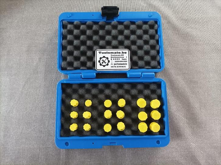 Jeu de bouchons pour injecteurs et autres tuyaux M12 M14 M16, Autos : Divers, Outils de voiture, Neuf, Enlèvement ou Envoi