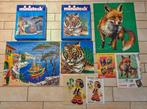 Mooie Ministeck sets te koop boten/vos/tijger/indiaan, Hobby en Vrije tijd, Ophalen of Verzenden, Gebruikt, Box-set