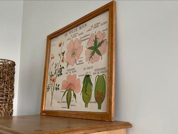 Vintage schoolplaten met wisselkader beschikbaar voor biedingen