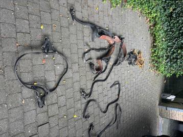 mentuig pony beschikbaar voor biedingen